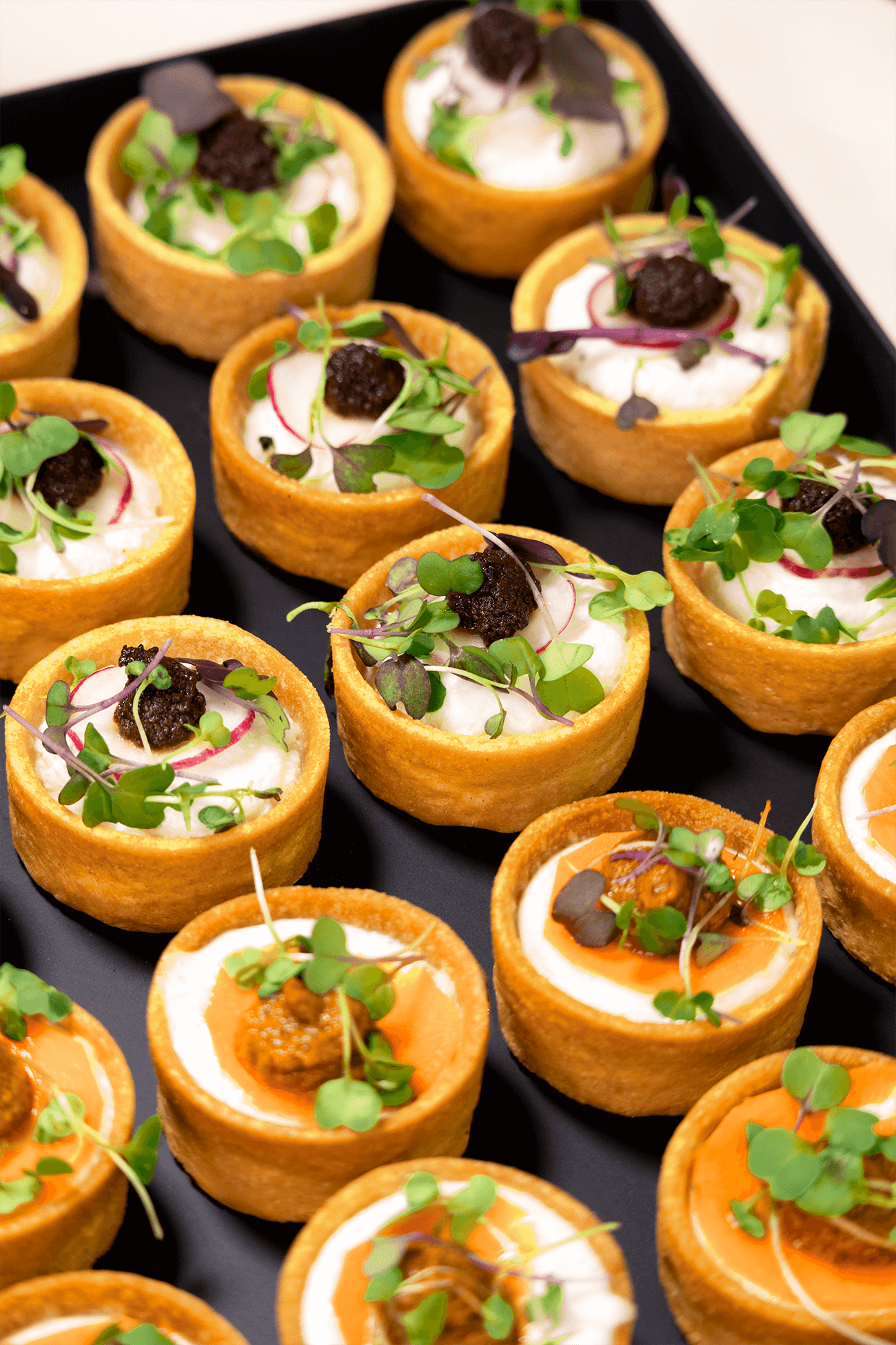 24 Bouchées Mini Tartelettes - Micro Pousses Chèvre Basilic & Radis Ricotta